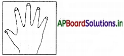 AP Board 3rd Class EVS Solutions 4th Lesson Our Body Parts 3