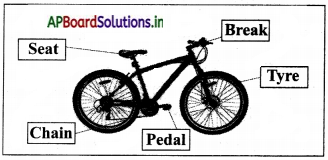 AP Board 3rd Class EVS Solutions 8th Lesson Let’s Travel Together 9