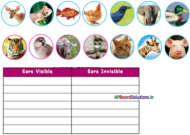 AP Board 4th Class EVS Solutions 3rd Lesson Animals Around Us 4