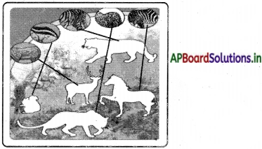 AP Board 4th Class EVS Solutions 3rd Lesson Animals Around Us 6