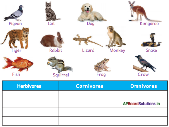 AP Board 4th Class EVS Solutions 3rd Lesson Animals Around Us 7