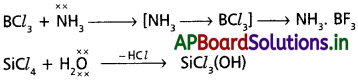 AP Inter 1st Year Chemistry Study Material Chapter 11 P బ్లాక్ మూలకాలు – 14వ గ్రూప్ 2