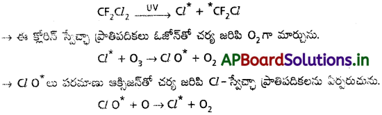 AP Inter 1st Year Chemistry Study Material Chapter 12 పర్యావరణ రసాయన శాస్త్రం 2