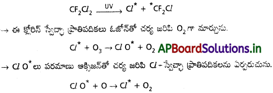 AP Inter 1st Year Chemistry Study Material Chapter 12 పర్యావరణ రసాయన శాస్త్రం 3