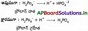 AP Inter 1st Year Chemistry Study Material Chapter 7 రసాయనిక సమతాస్థితి, అమ్లాలు – క్షారాలు 58