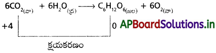 AP Inter 1st Year Chemistry Study Material Chapter 8 హైడ్రోజన్ – దాని సమ్మేళనాలు 3