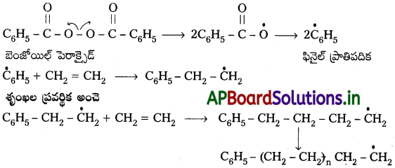 AP Inter 2nd Year Chemistry Study Material Chapter 8 పాలిమర్ లు 11
