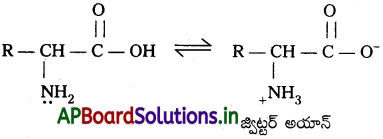 AP Inter 2nd Year Chemistry Study Material Chapter 9 జీవాణువులు 10