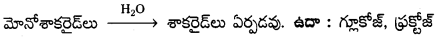AP Inter 2nd Year Chemistry Study Material Chapter 9 జీవాణువులు 11
