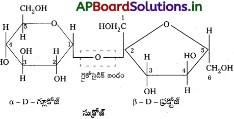 AP Inter 2nd Year Chemistry Study Material Chapter 9 జీవాణువులు 34