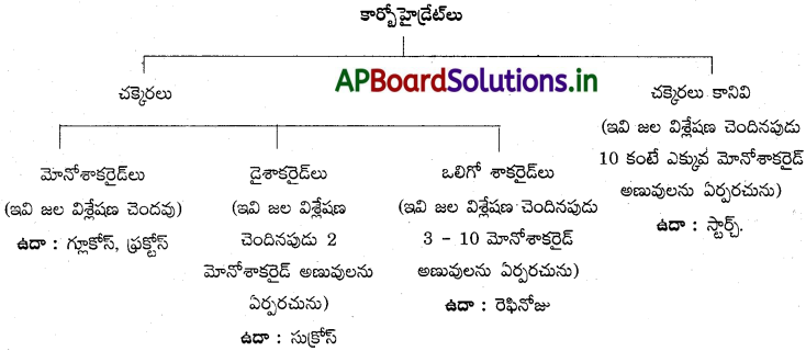 AP Inter 2nd Year Chemistry Study Material Chapter 9 జీవాణువులు 45
