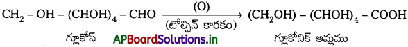 AP Inter 2nd Year Chemistry Study Material Chapter 9 జీవాణువులు 48