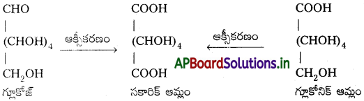 AP Inter 2nd Year Chemistry Study Material Chapter 9 జీవాణువులు 5