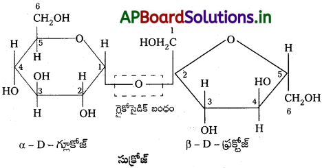 AP Inter 2nd Year Chemistry Study Material Chapter 9 జీవాణువులు 57
