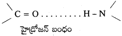 AP Inter 2nd Year Chemistry Study Material Chapter 9 జీవాణువులు 64