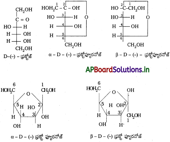 AP Inter 2nd Year Chemistry Study Material Chapter 9 జీవాణువులు 8