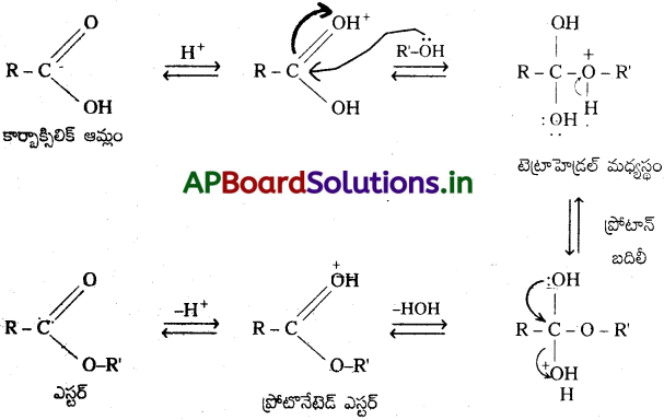 AP Inter 2nd Year Chemistry Study Material Chapter 12(b) ఆల్డిహైడ్స్, కీటోన్స్ మరియు కార్బాక్సిలిక్ యాసిడ్స్ 8