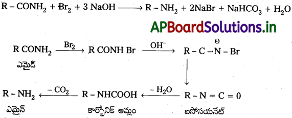 AP Inter 2nd Year Chemistry Study Material Chapter 13 నైట్రోజన్లో ఉన్న కర్బన సమ్మేళనాలు 34